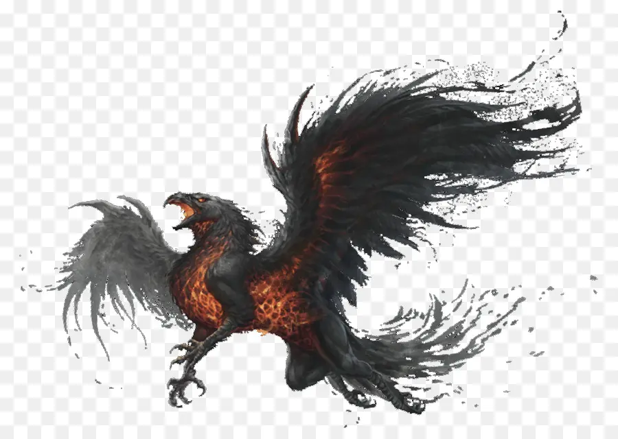 Olho Escuro，Griffin PNG