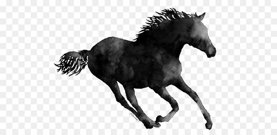 Cavalo Preto，Cavalo PNG