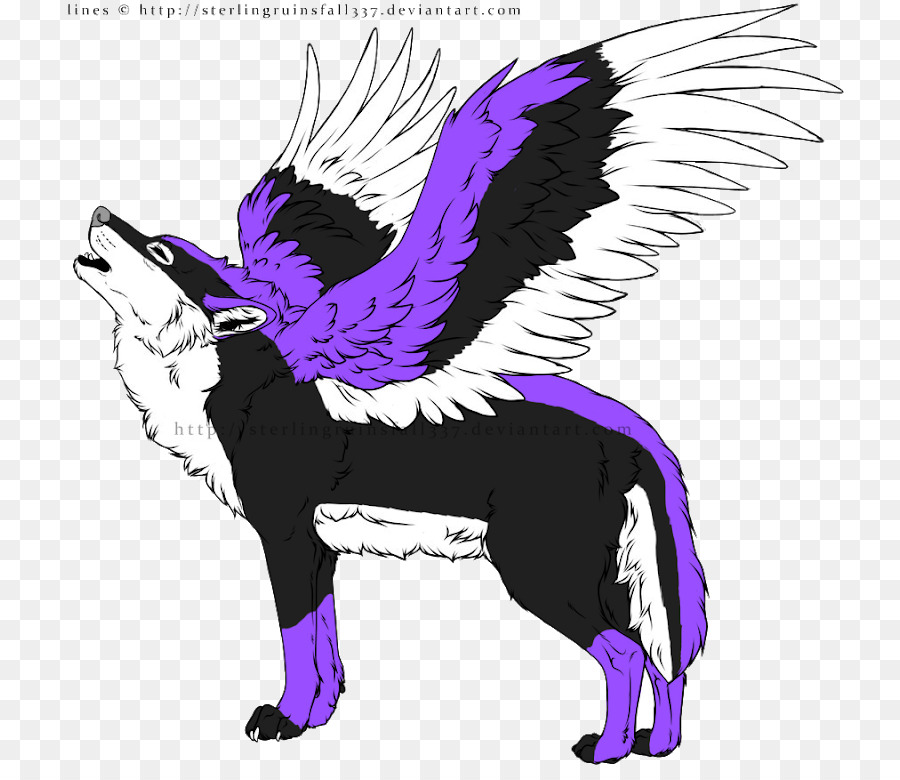 Canidae，Lobo Negro PNG