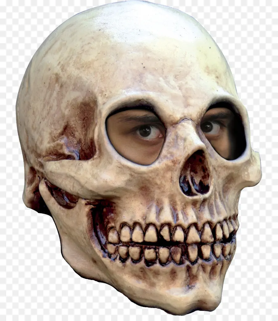 Máscara，Traje De Halloween PNG