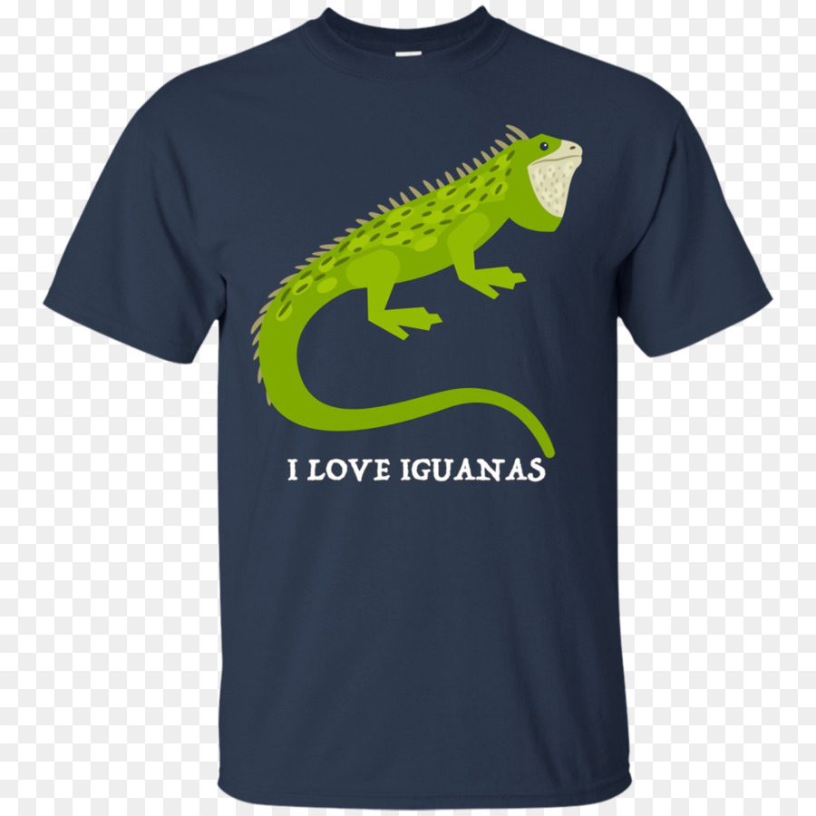 Tshirt，Capuz PNG