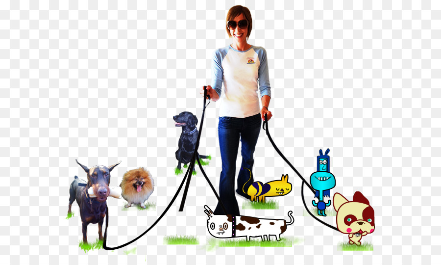 Mulher Passeando Com Cachorros，Cães PNG