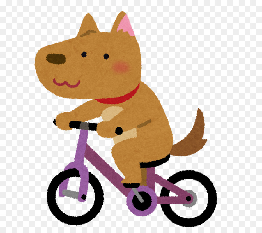 Bicicleta，Gato PNG