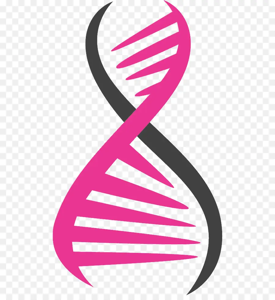 Dna，Desc PNG