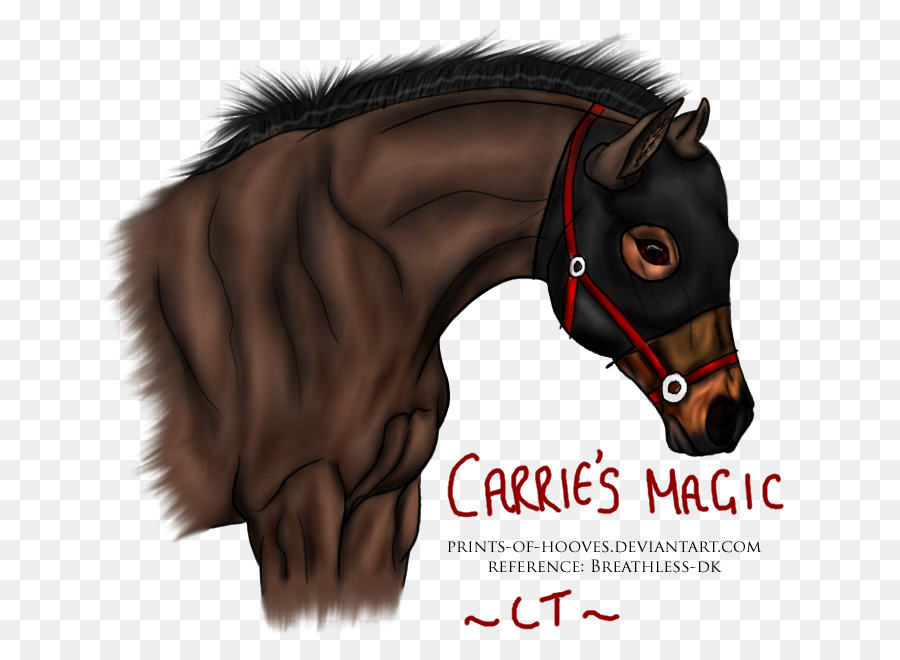 Corridas De Cavalos，Garanhão PNG