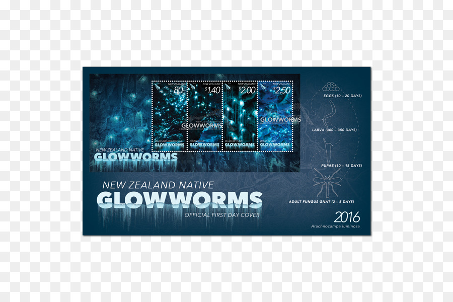 Nova Zelândia，Glowworm PNG