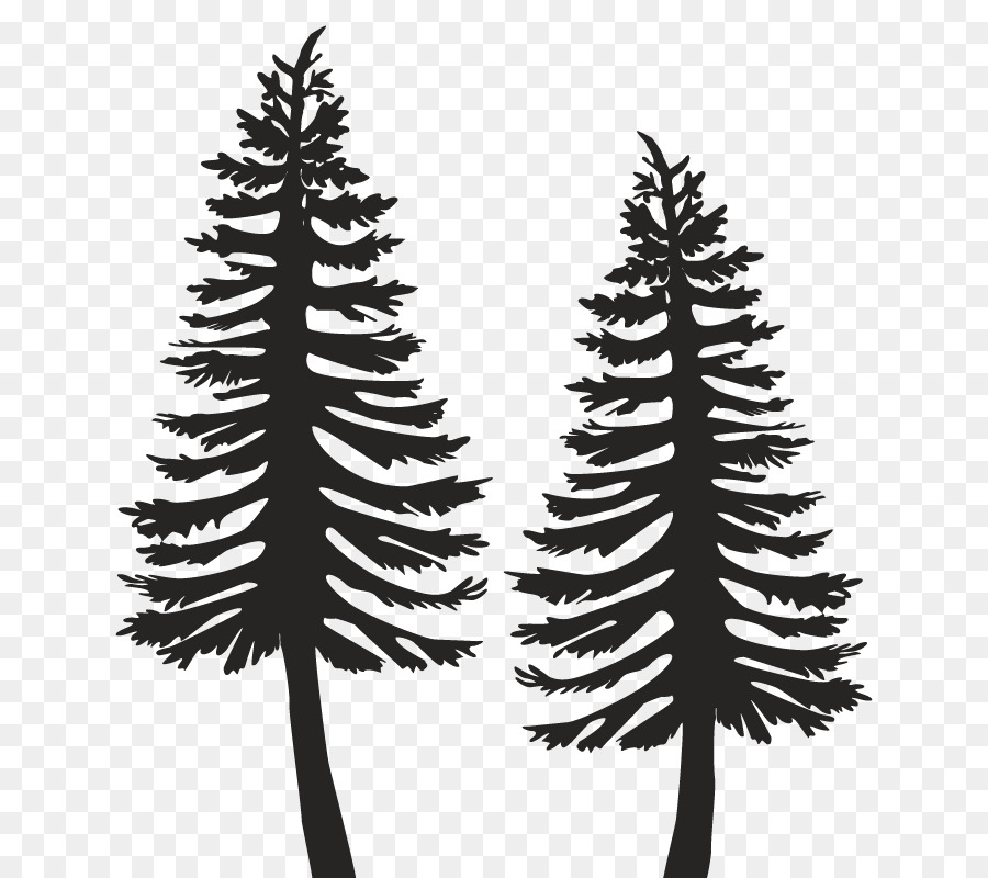 Enfeitar，Pine PNG