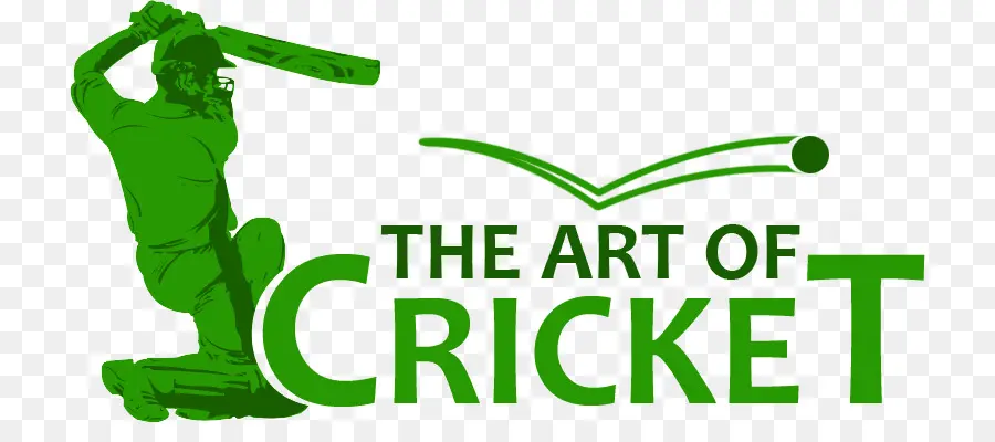 Paquistão Nacional De Equipe De Críquete，Cricket PNG