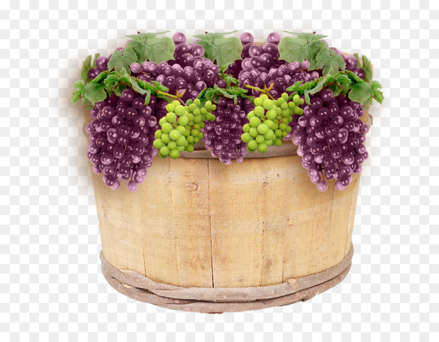 Uvas Na Cesta，Videira PNG