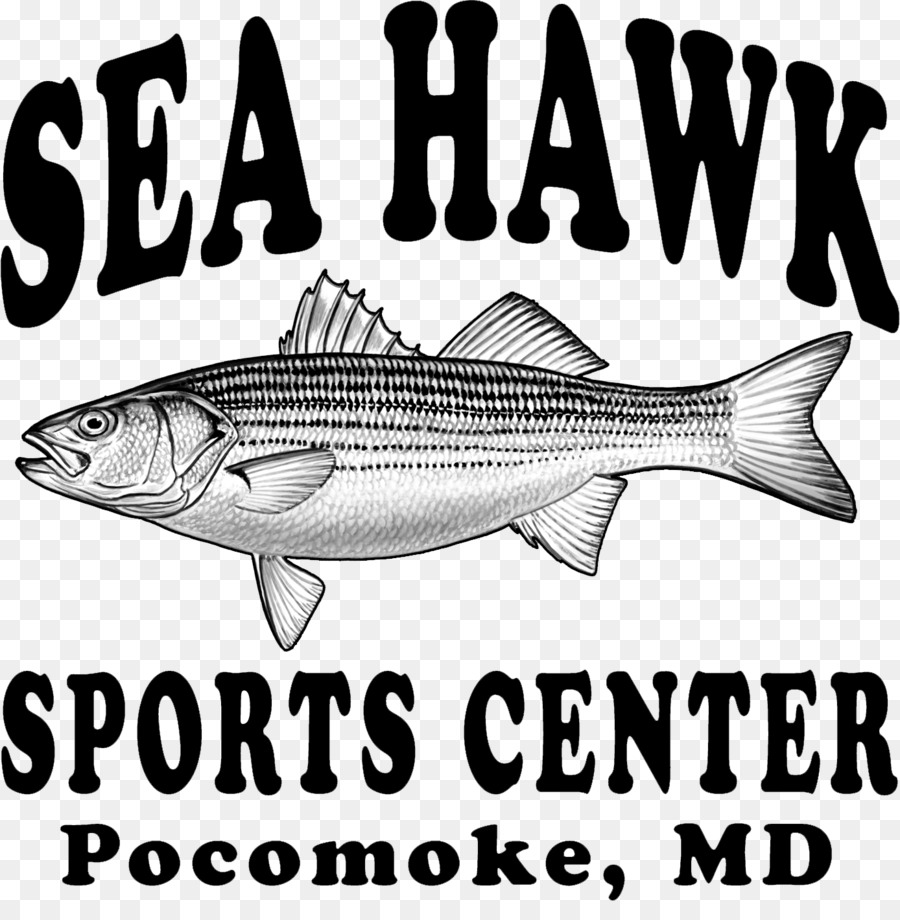 Sea Hawk Centro Desportivo，Pocomoke City PNG