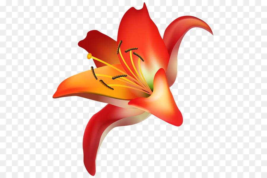 Flor，Arte PNG