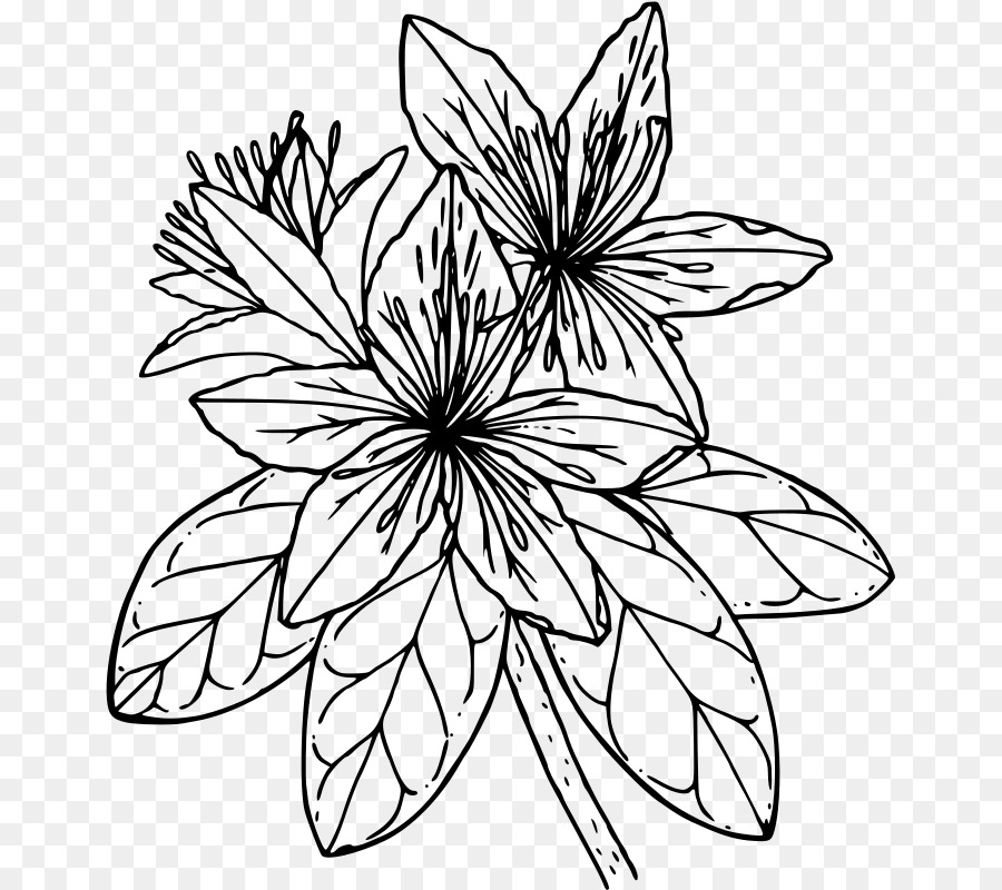 Árvore De Flores，Preto E Branco PNG