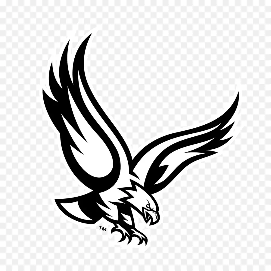 Philadelphia Eagles，águia Careca PNG