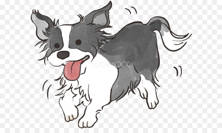 Raça Do Cão，Filhote De Cachorro PNG