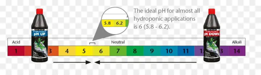 Ph，Solution PNG