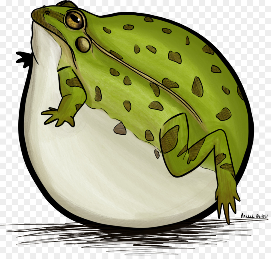 American Bullfrog，Sapo PNG