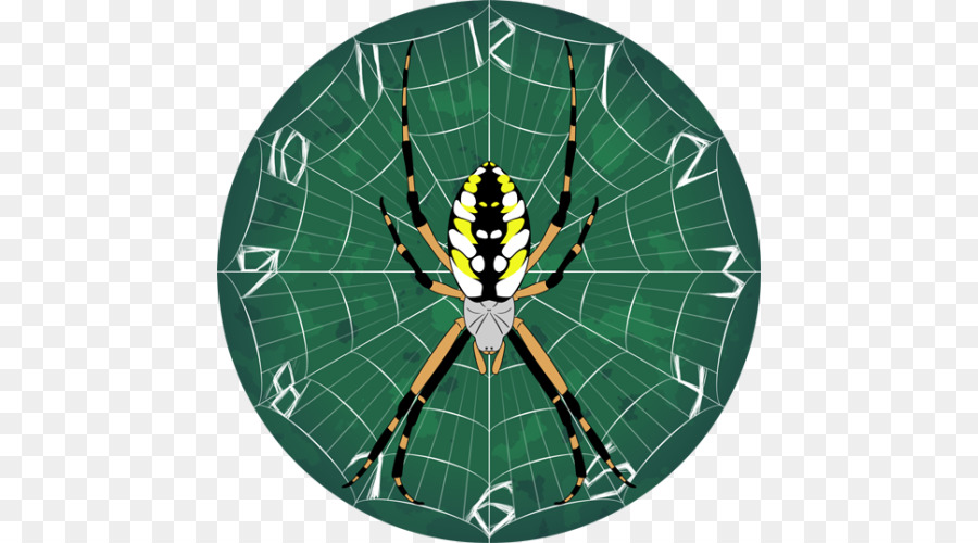 Aranha，Rede PNG