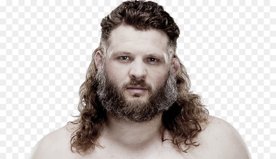 Roy Nelson，Ultimate Fighting Championship PNG