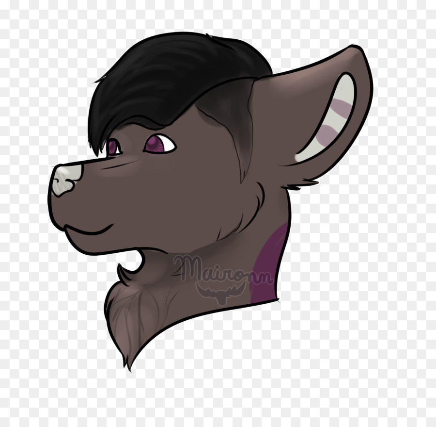 Canidae，Cavalo PNG