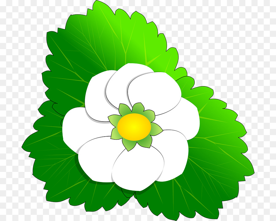 Flor，Arte PNG