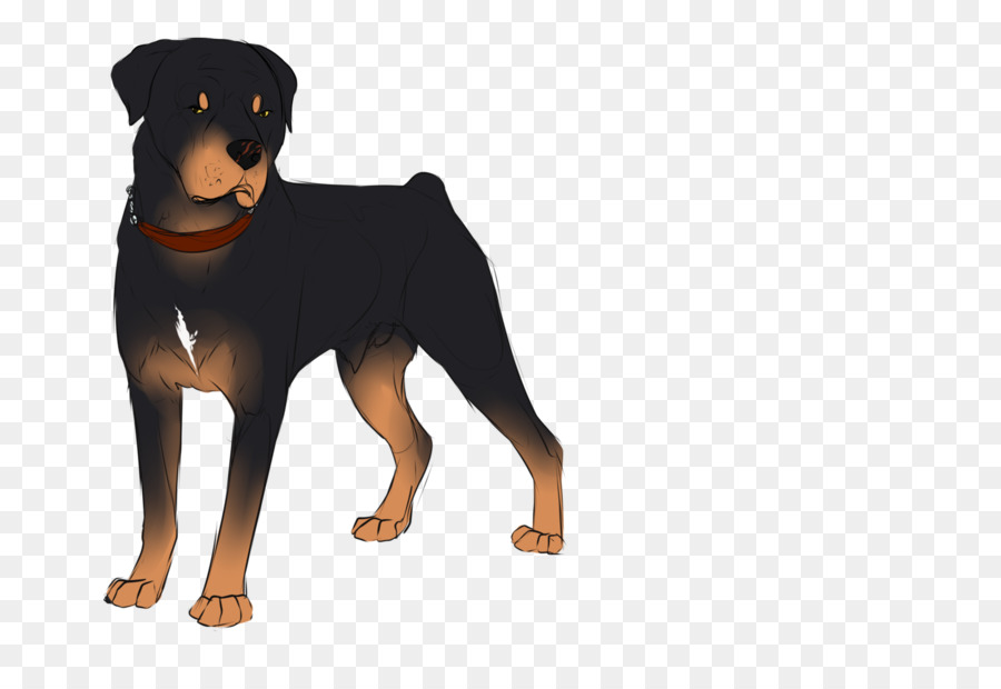 Dobermann，Rottweiler PNG