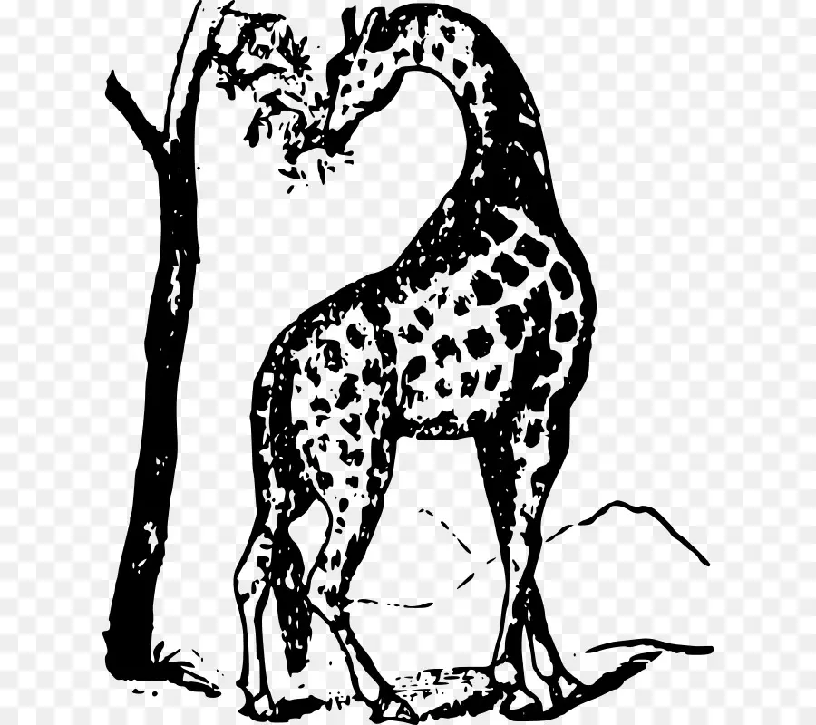 Girafa，Cachorro PNG