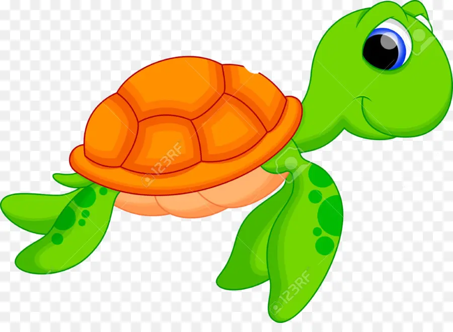 Turtle，Desenho PNG
