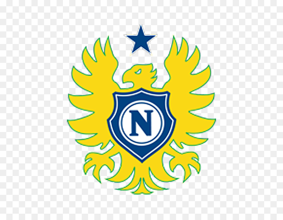 Nacional Futebol Clube，Amazônia Arena PNG