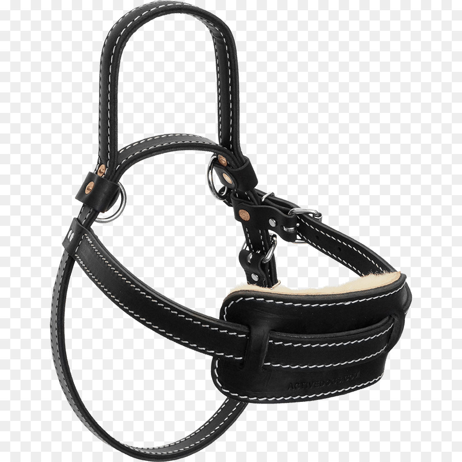 Cachorro，Harness Dog PNG