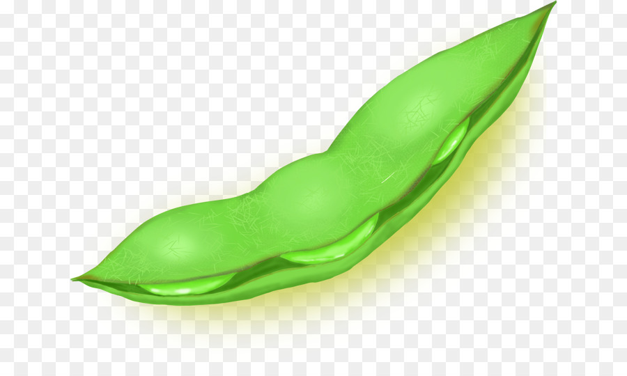 Edamame，Sakana PNG