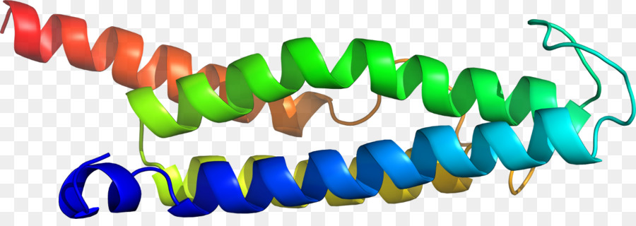 Hélice De Proteína，Molécula PNG