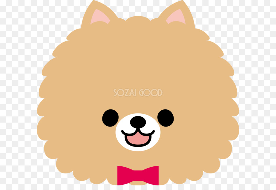 Filhote De Cachorro，Pomeranian PNG