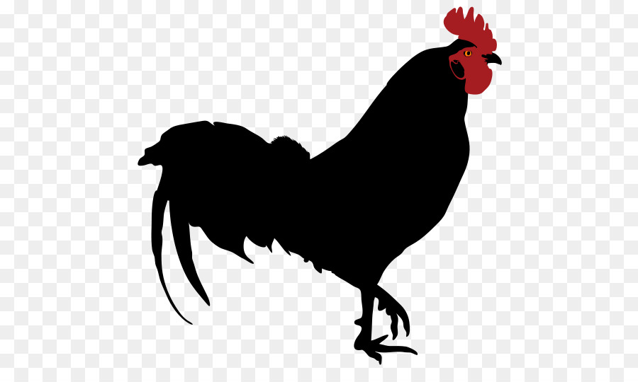 Frango，Pássaro PNG