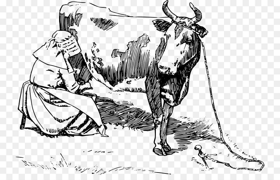 Vaca Ordenhando，Agricultor PNG