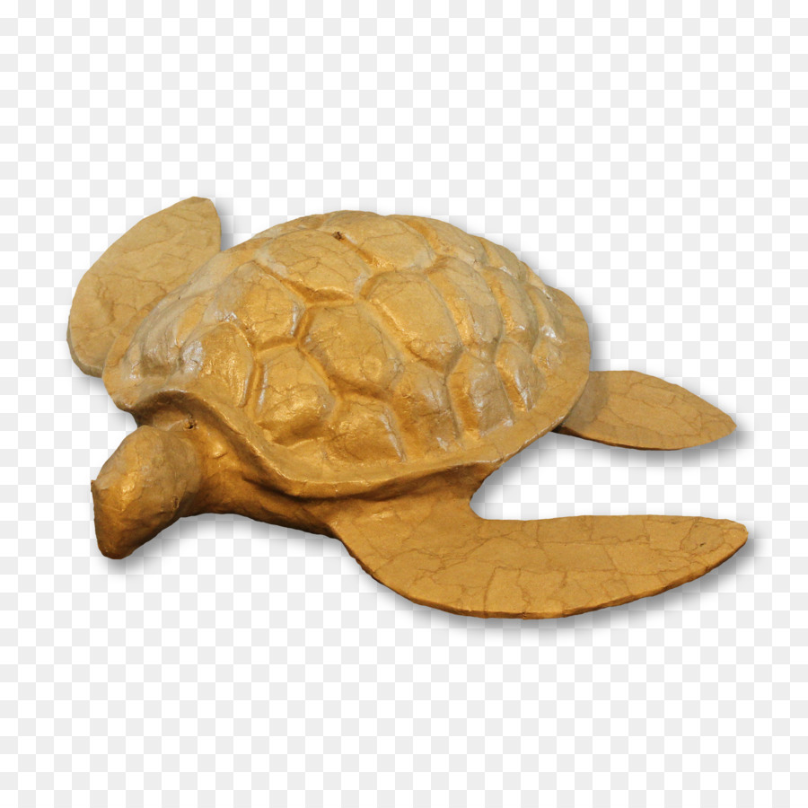 Urn，Turtle PNG