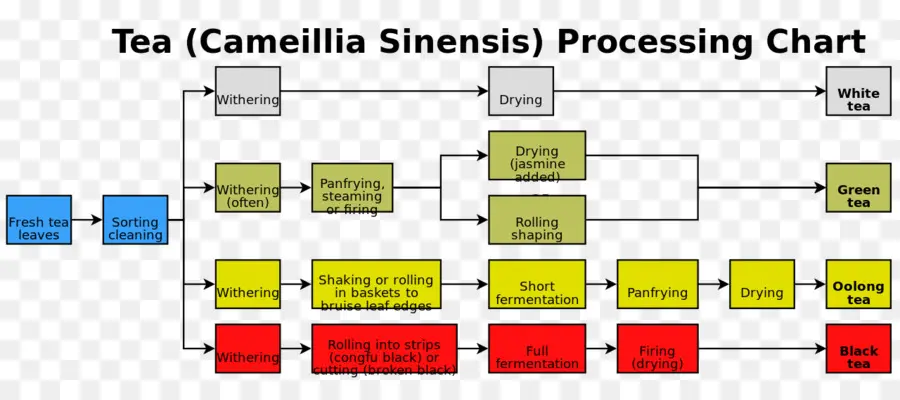 Processamento De Chá，Passos PNG