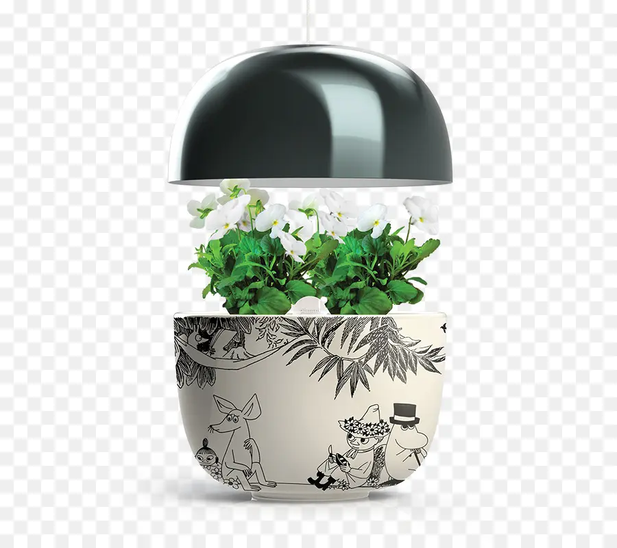 Vaso De Flores，Plantar PNG