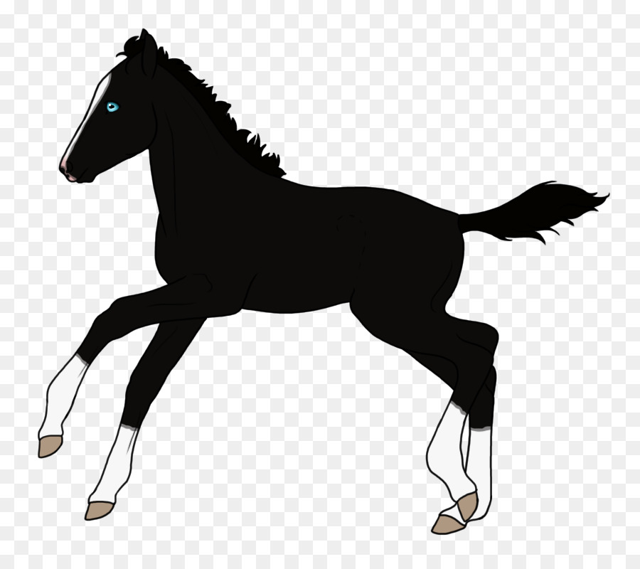 Grande，Cavalo árabe PNG