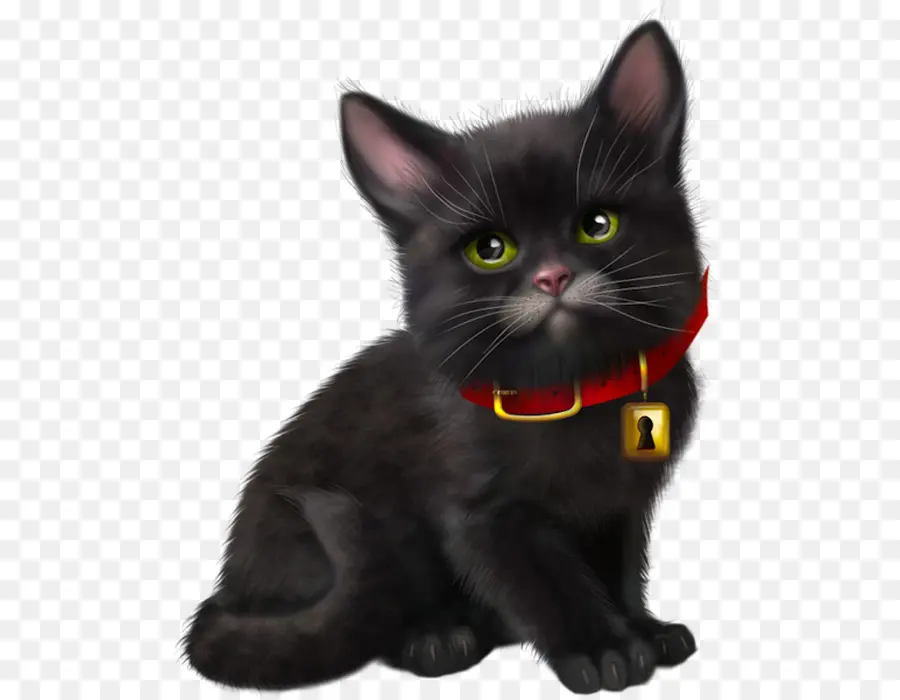 Gato Preto，Gatinho PNG