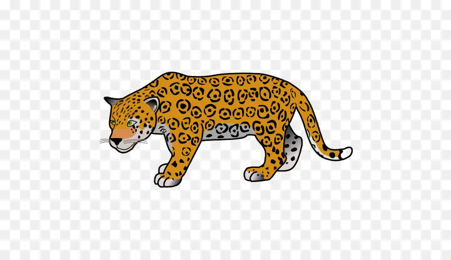 Jaguar，Tigre PNG