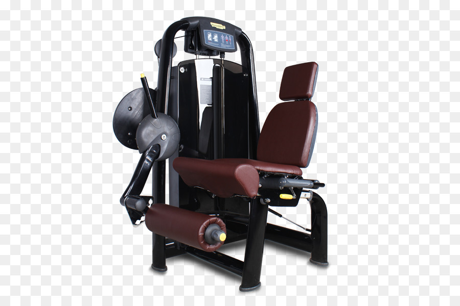 Máquina De Exercícios，Academia PNG