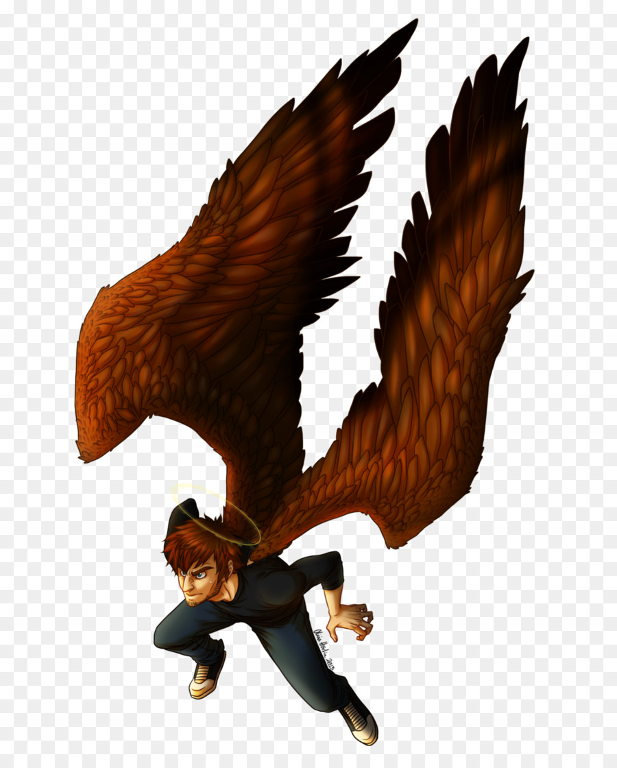 águia Careca，Hawk PNG