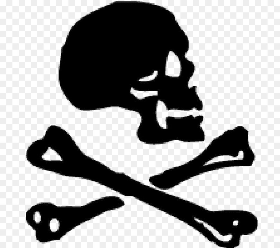 Pirataria，Tshirt PNG