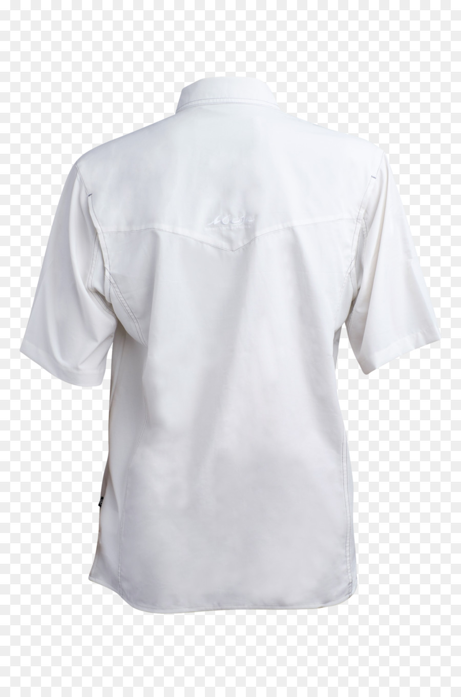 Tshirt，Manto PNG