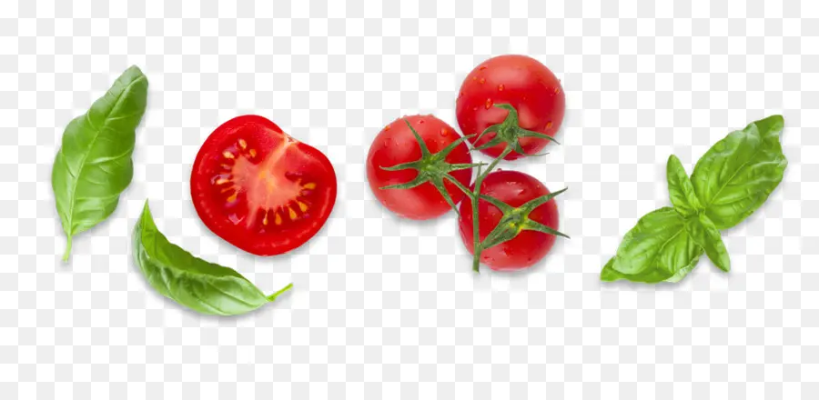 Tomates，Vegetal PNG