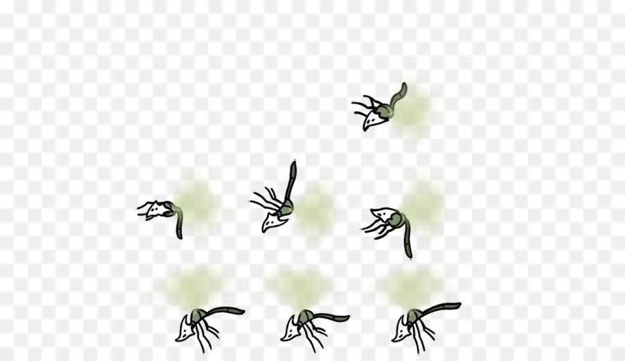 Mosquitos，Vôo PNG