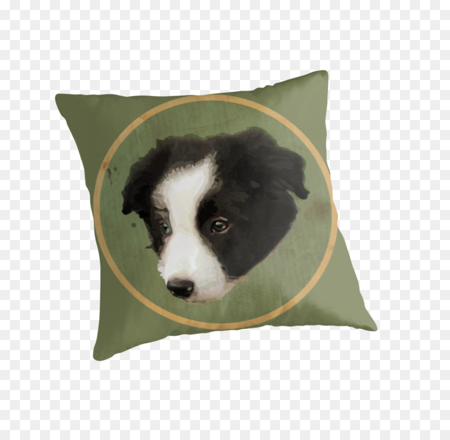 Travesseiro，Border Collie PNG