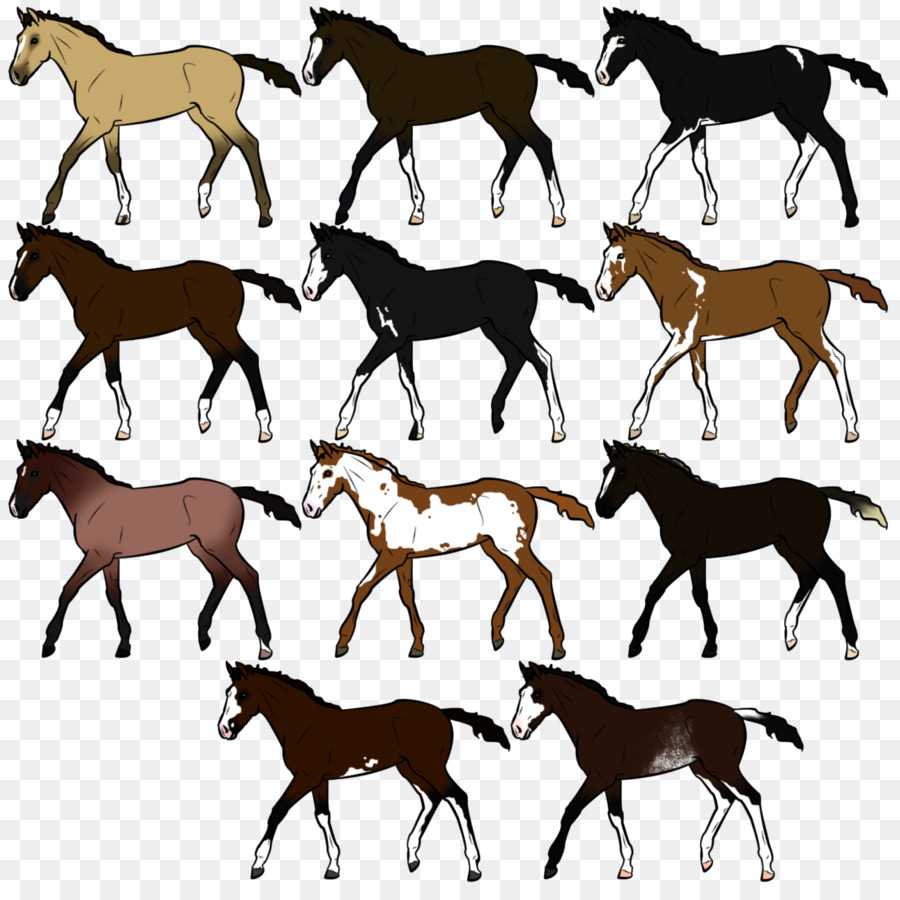 Cavalos，Correndo PNG