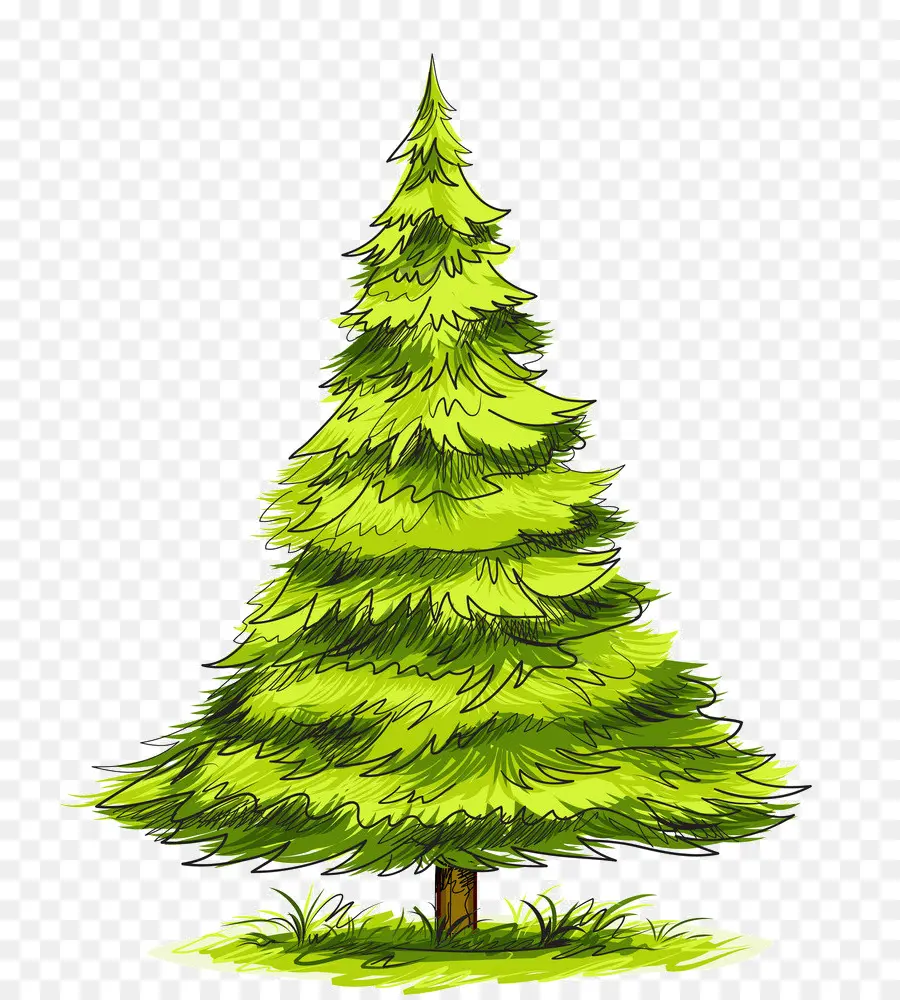 Enfeitar，Pine PNG