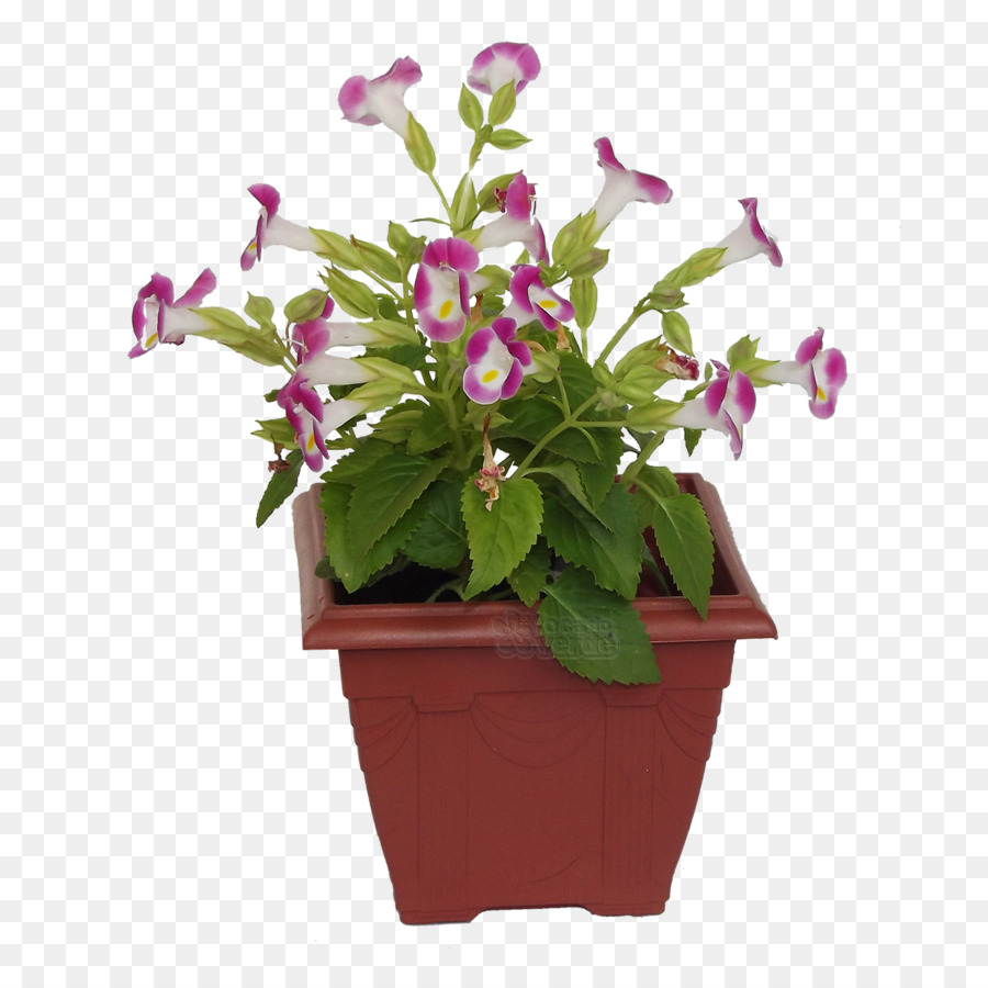 Cerâmica，Flowerpot PNG